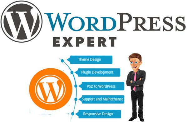 WordPress Niveau Expert